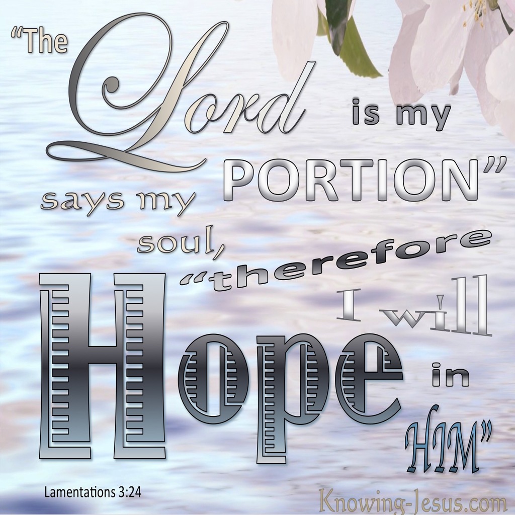 Lamentations 3:24 The Lord Is My Portion. I Hope In Him (pink)